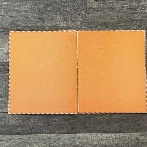 STAY SAFE, PLAY SAFE: A BOOK ABOUT SAFETY RULES by BARBARA SEULING | GOLDEN - Picture 4 of 11